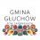 Głuchów 