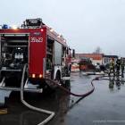 Fotka nr 5 z 9