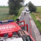 Fotka nr 2 z 4
