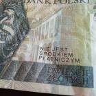 Fotka nr 3 z 4