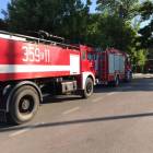 Fotka nr 4 z 11