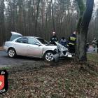 Fotka nr 1 z 3