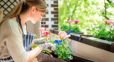 Tikkurila urządza taras dla zapylaczy